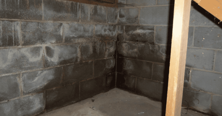 basement-leak-repair-guelph-image-2